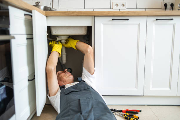 Best Local Plumber Services  in Geistown, PA